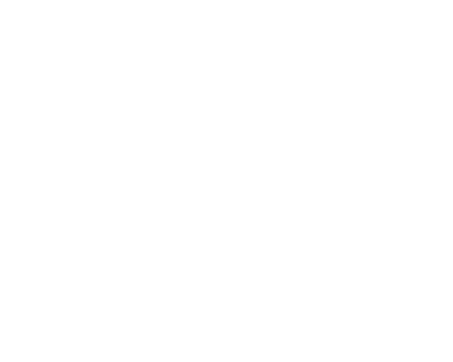 Holly Haeseler